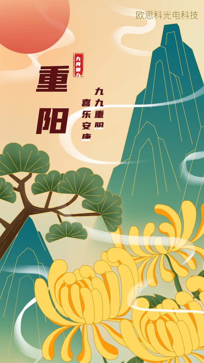 中国传统节日重阳节中国风菊花插画手机海报