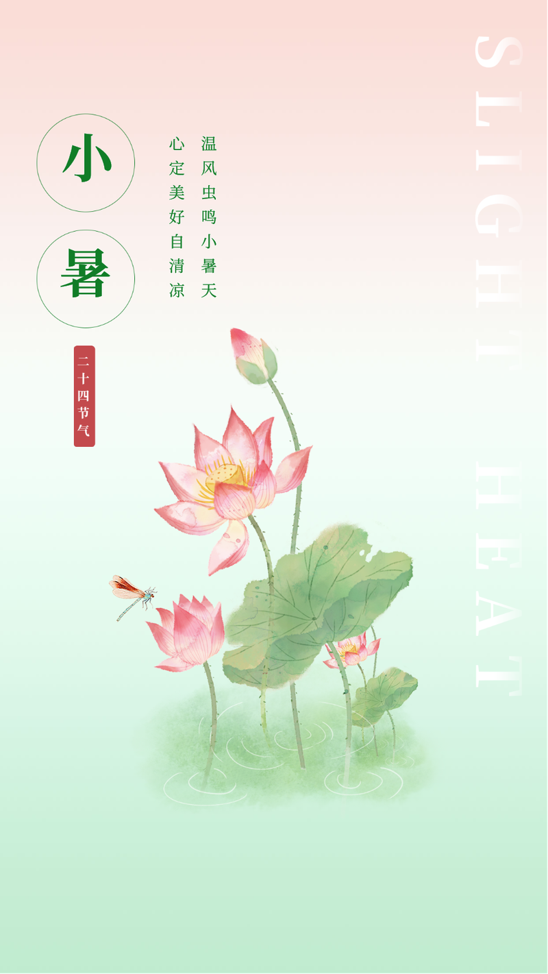 小暑，荷花