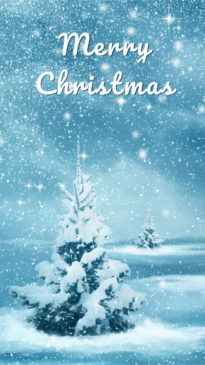 圣诞节，蓝色，圣诞树，雪地