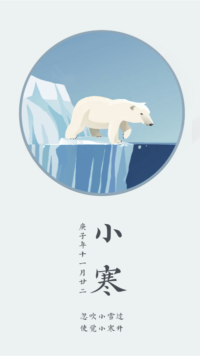 二十四节气小寒，北极熊，手机海报