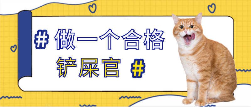 合格铲屎官，猫咪，公众号首图