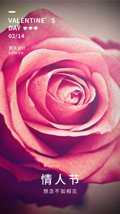 情人节，玫瑰花海报