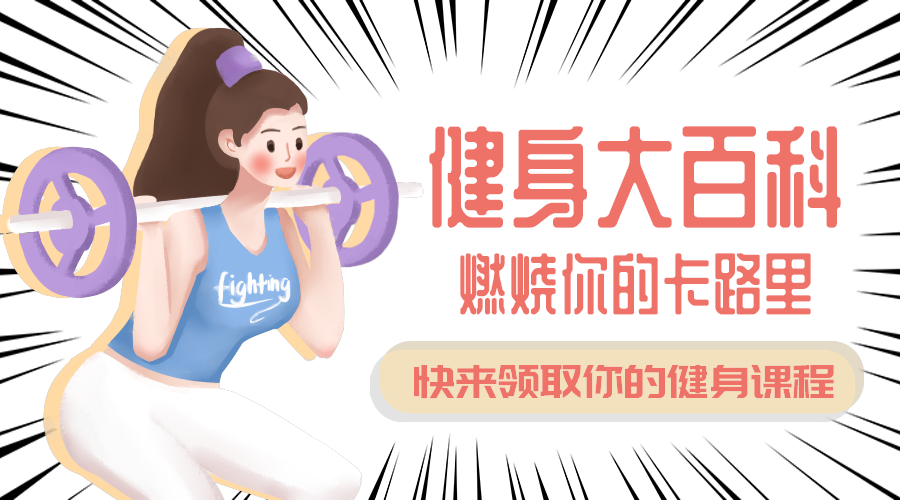 健身百科
