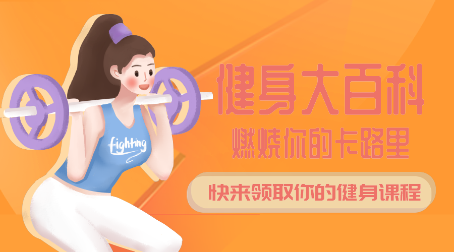 健身百科