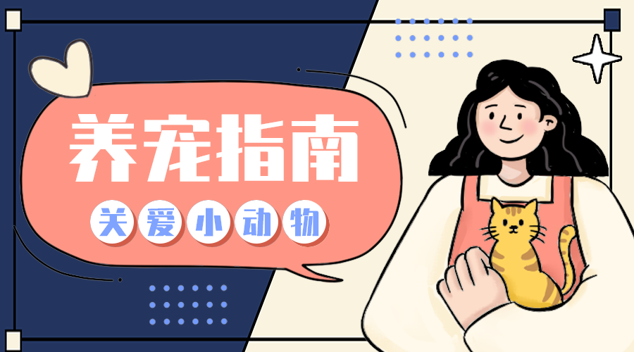 养宠指南