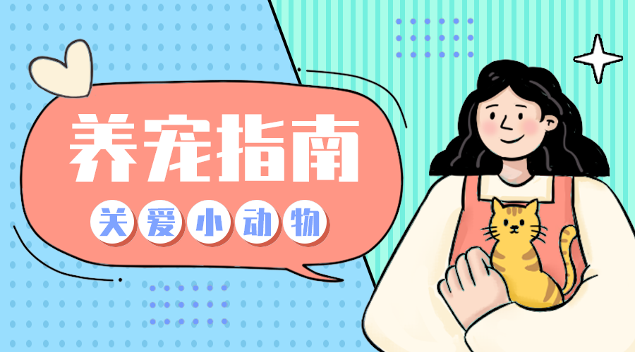 养宠指南