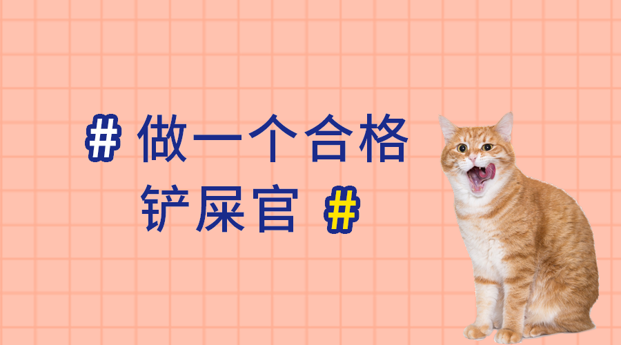 做合格铲屎官