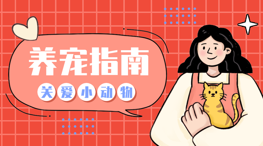 养宠指南