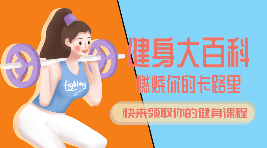 健身百科