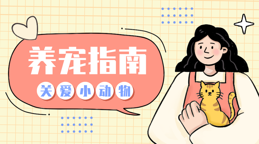 养宠指南