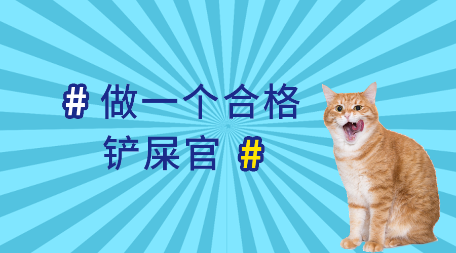 做合格铲屎官