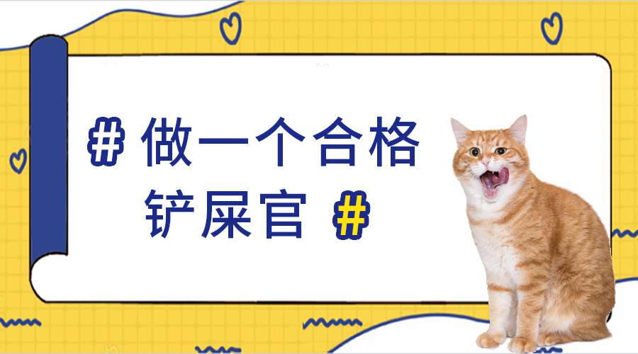 做合格铲屎官