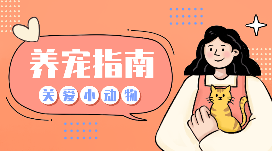 养宠指南