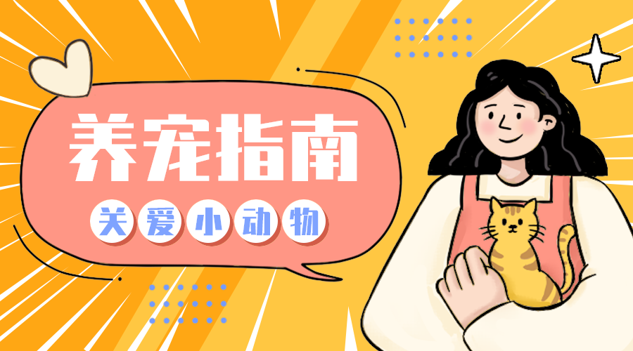 养宠指南
