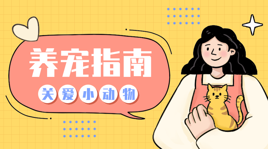 养宠指南