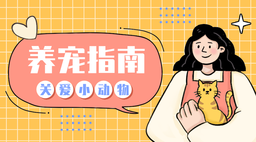 养宠指南