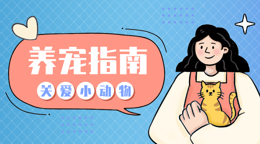养宠指南