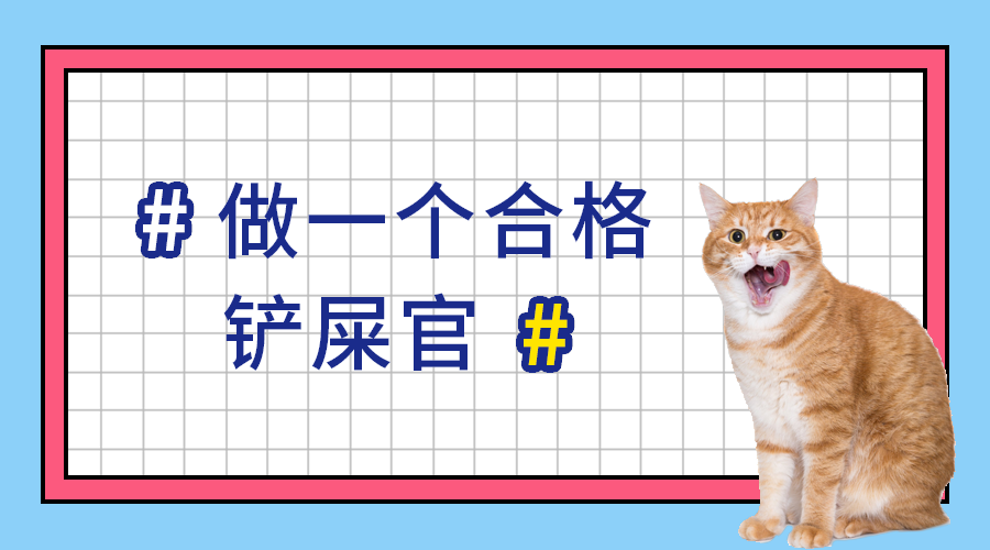 做合格铲屎官