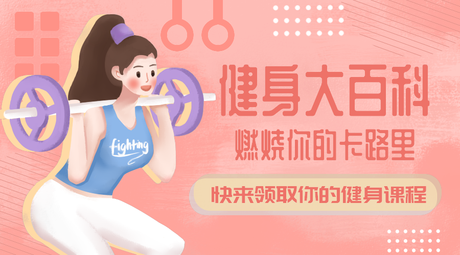 健身百科