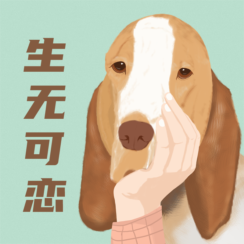 /static/assets/images/default-pic.png 生无可恋#狗头#插画#微信QQ头像