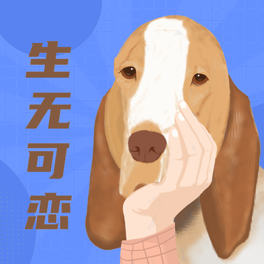生无可恋