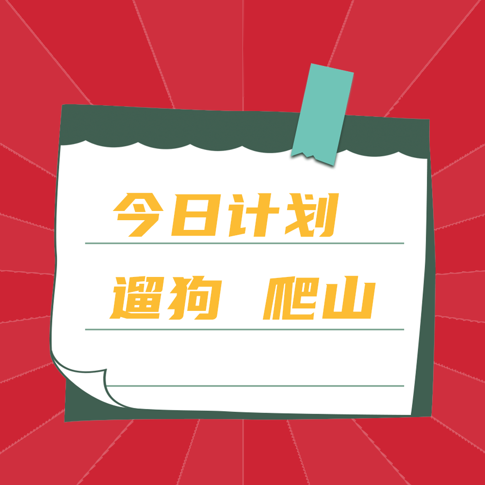 今日计划