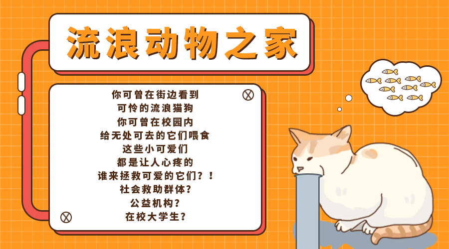 收养流浪宠物
