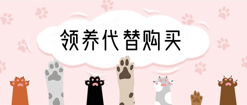 宠物，领养，公众号