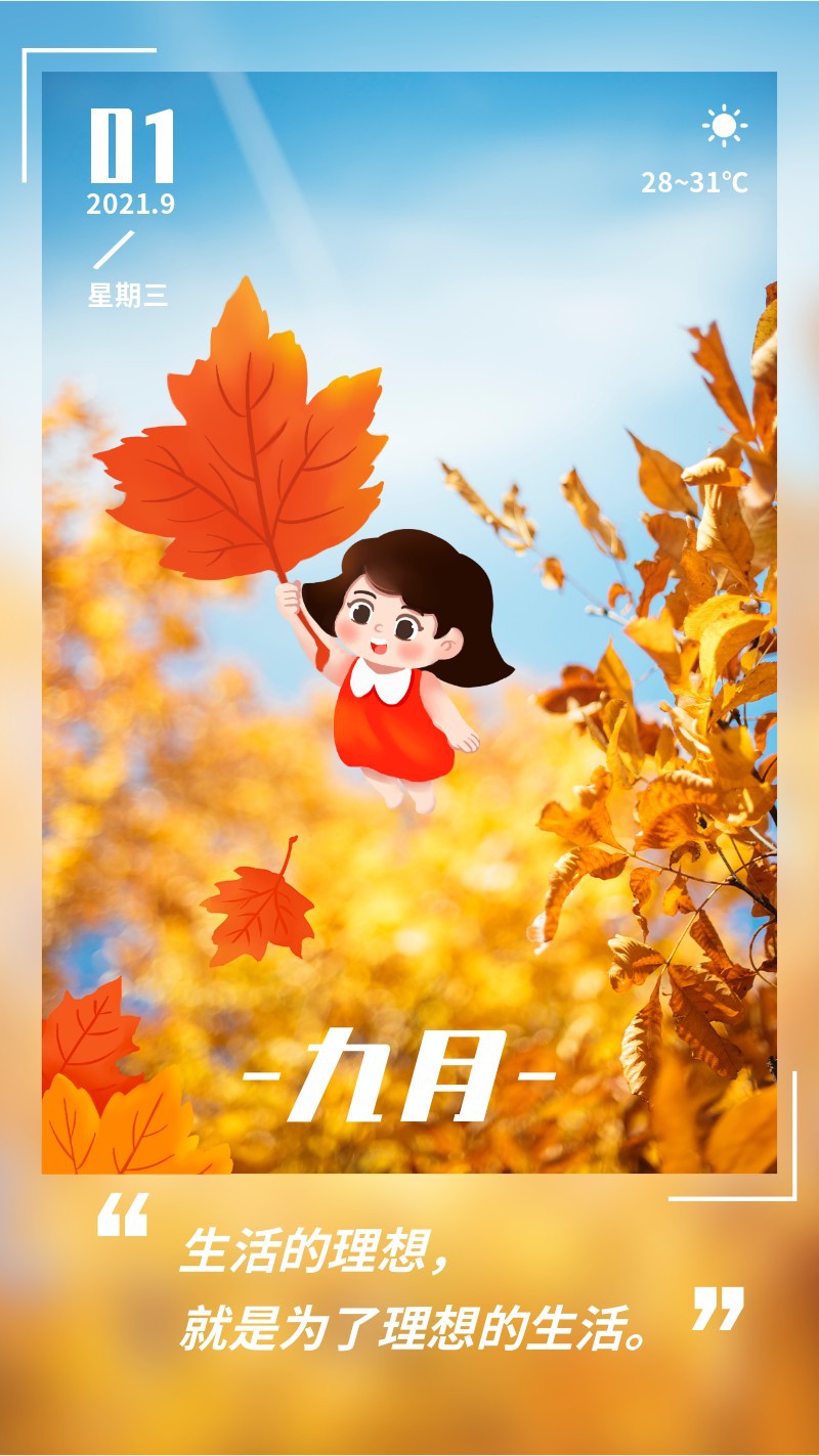 九月你好，枫叶，可爱