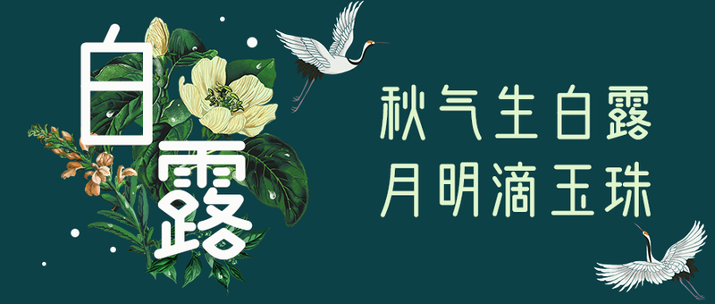 /static/assets/images/default-pic.png 白露,二十四节气,公众号首页