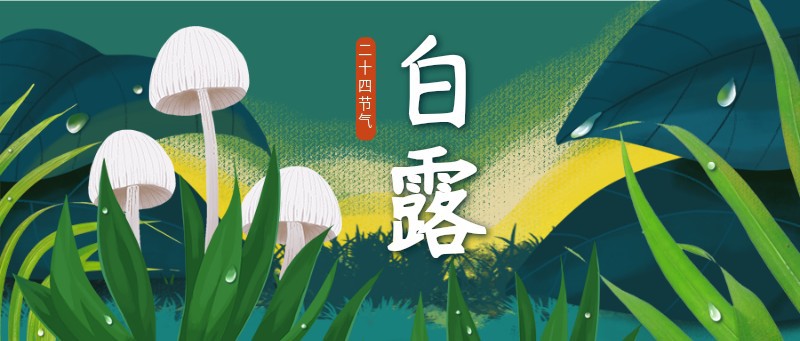 /static/assets/images/default-pic.png 白露,蘑菇,露水,公众号首页