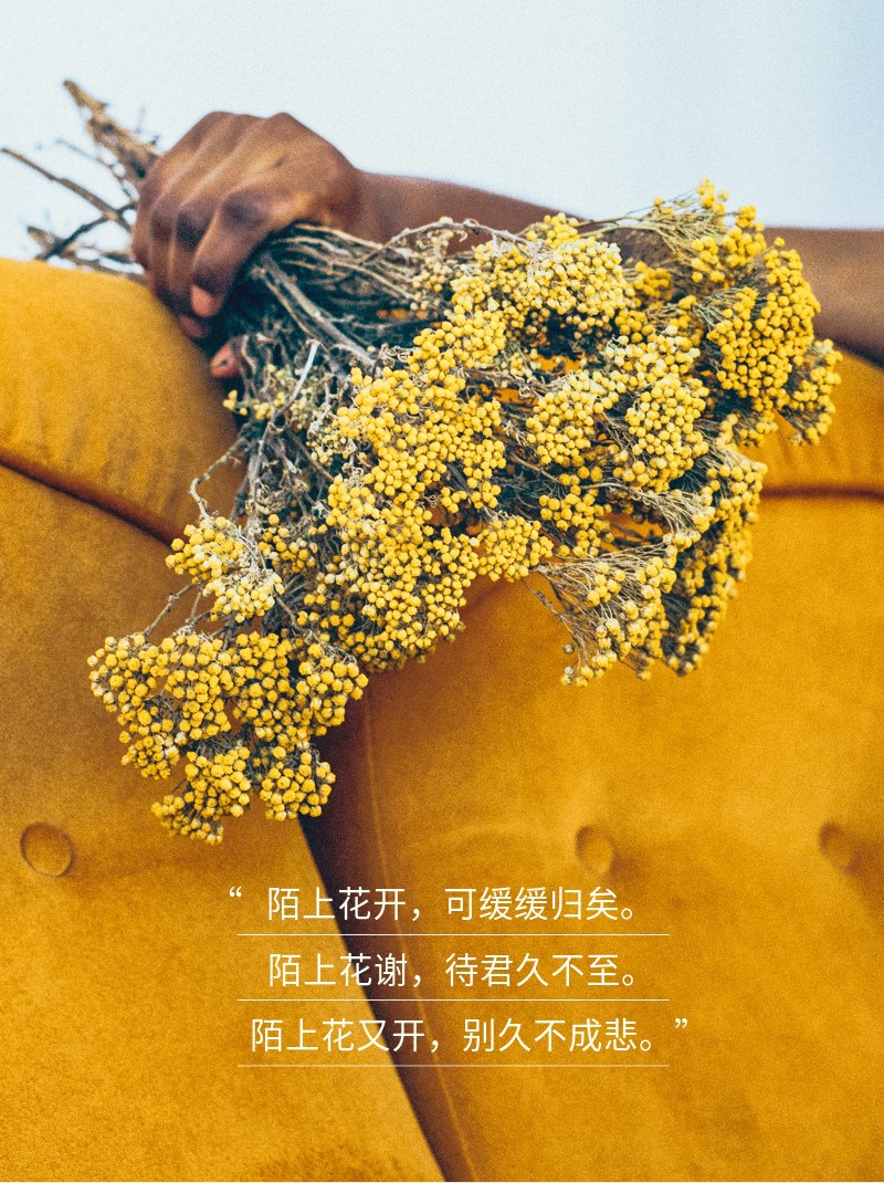 /static/assets/images/default-pic.png 鲜花,美文,伤感,情感,小红书配图