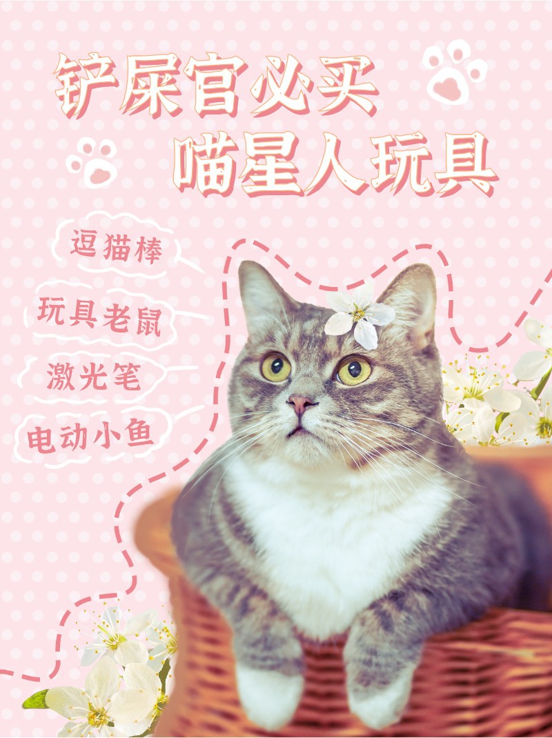 /static/assets/images/default-pic.png 铲屎官,宠物,猫,玩具,喵星人,小红书配图