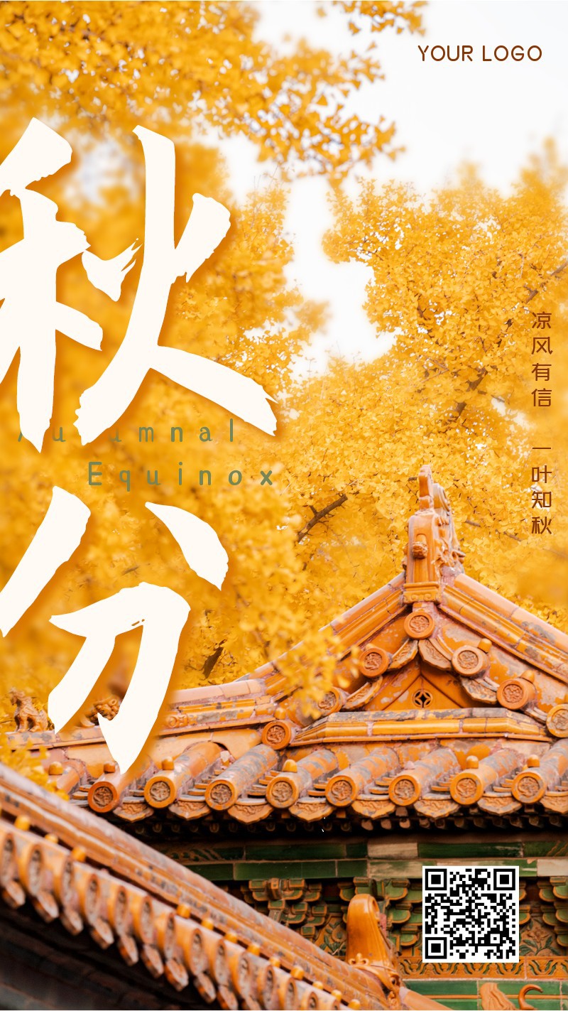 秋分，二十四节气，实景，文艺