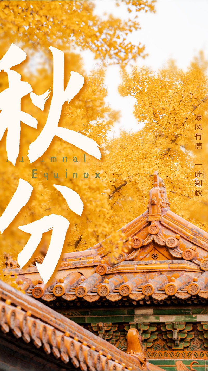 秋分，二十四节气，实景，文艺