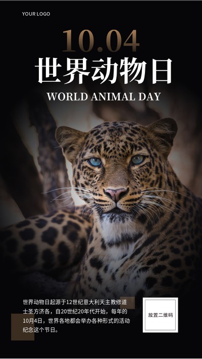 世界动物日，保护动物，公益