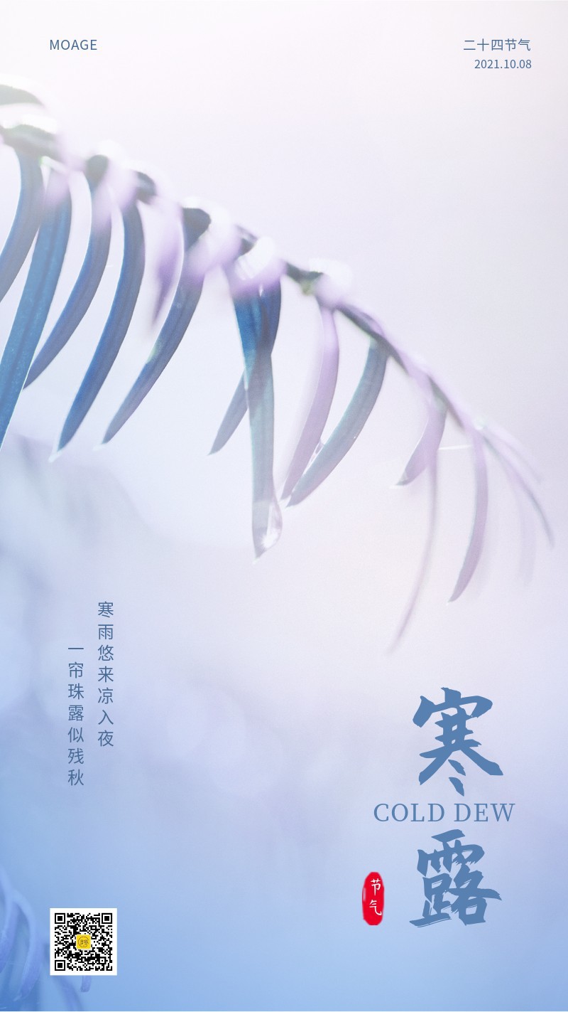 寒露，二十四节气，雾气，露珠