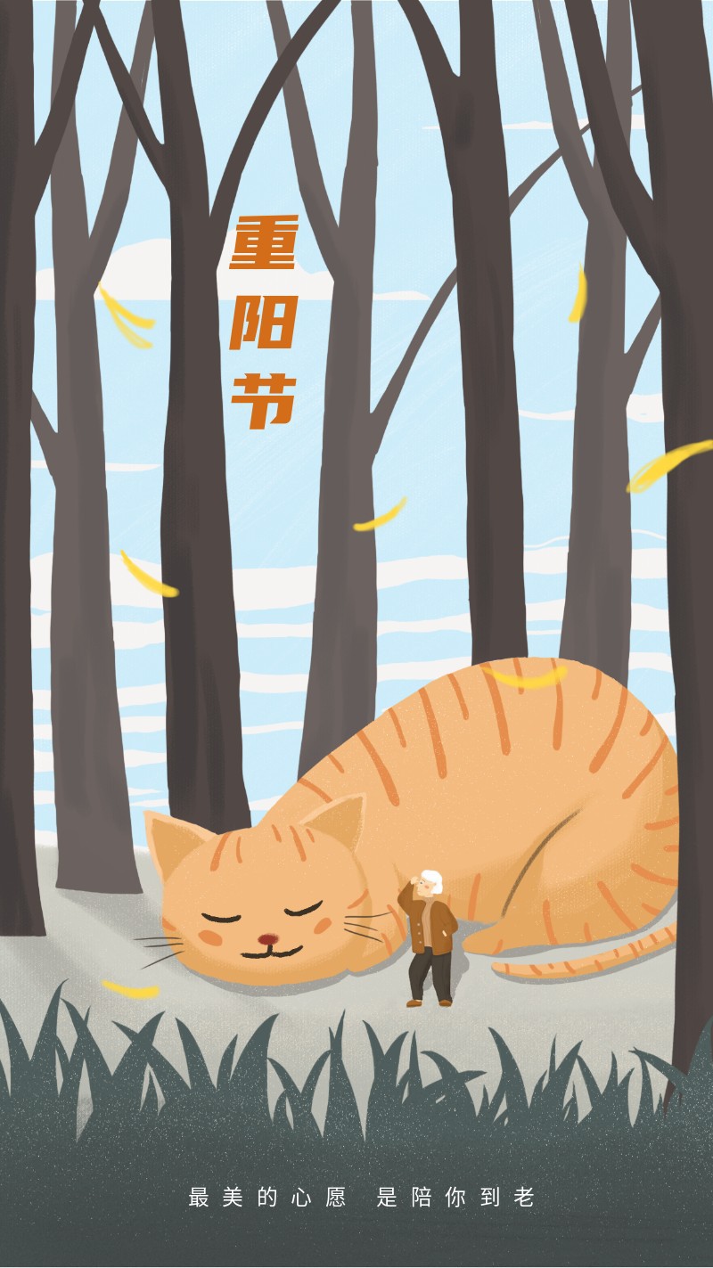 重阳节登高望远老人和睡觉的猫咪