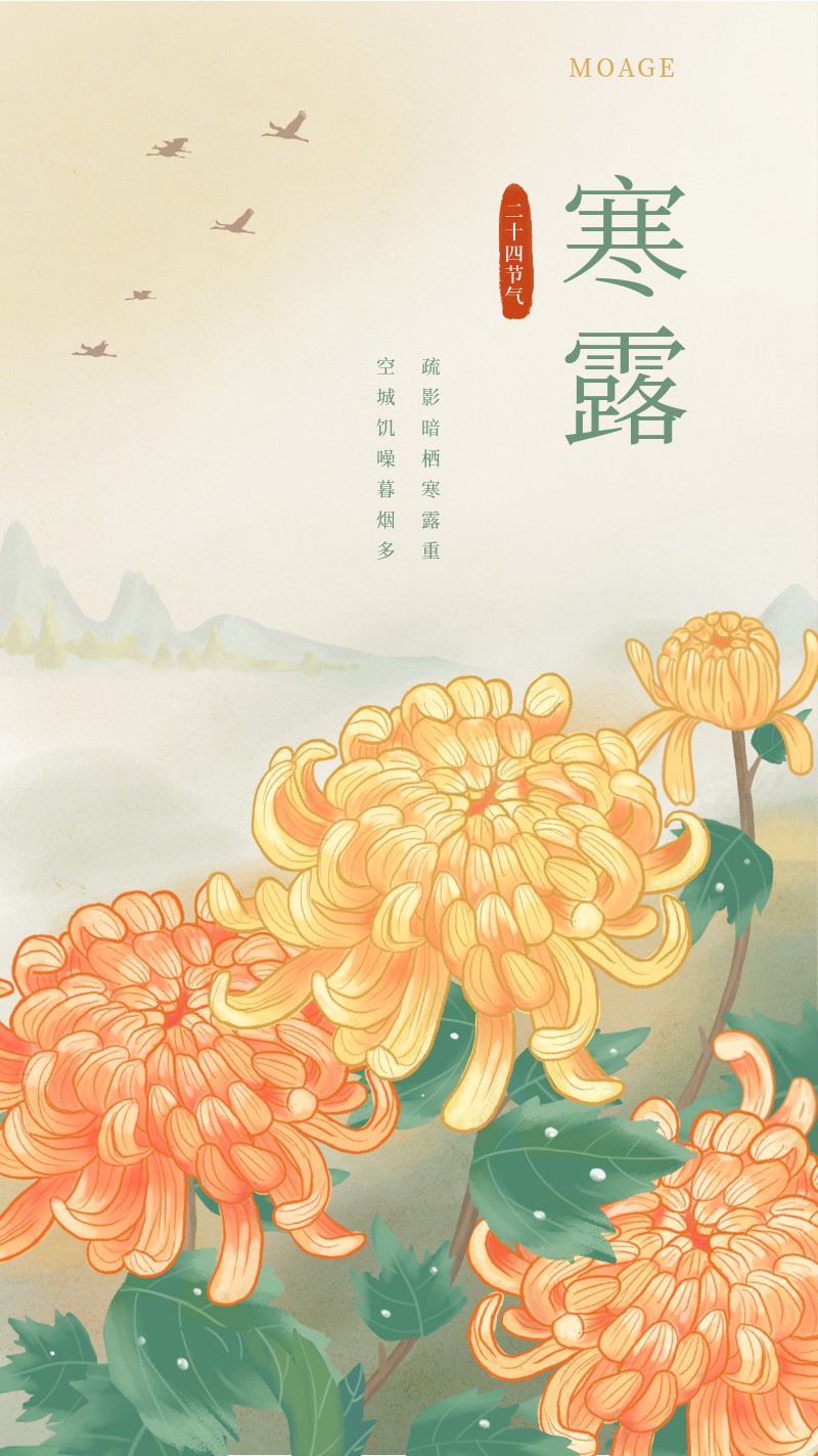 寒露，二十四节气，节日，手机海报