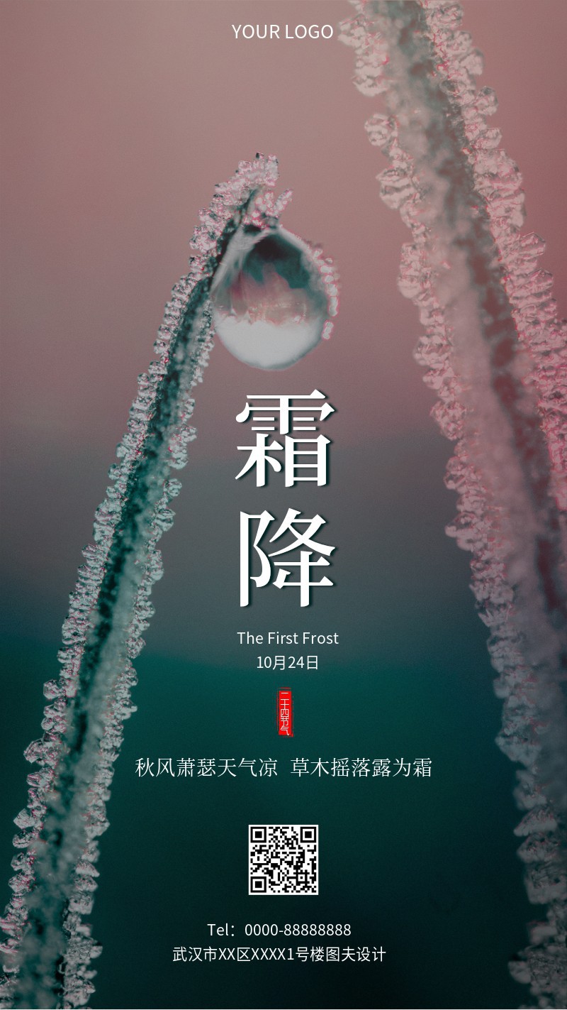 霜降 实景 节气 手机海报