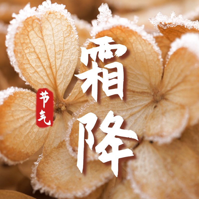 二十四节气，霜降
