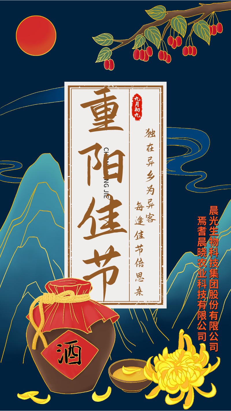 重阳节金线手绘中国风海报