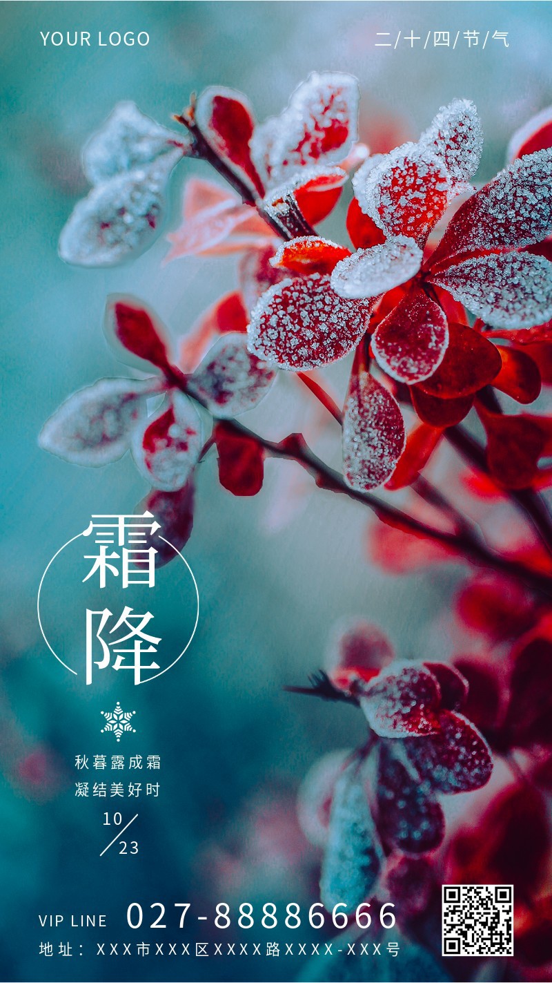 节气，霜降，手机海报