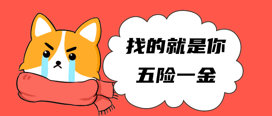 找的就是你五险一金