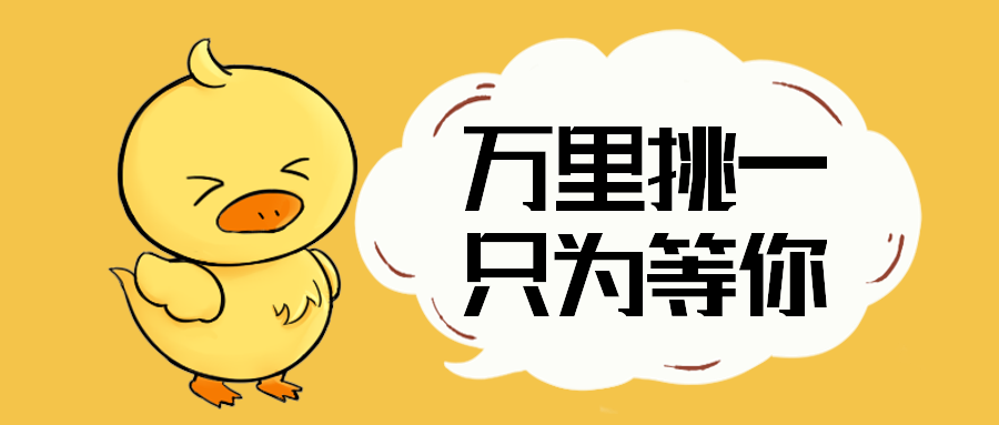 万里挑一只为等你