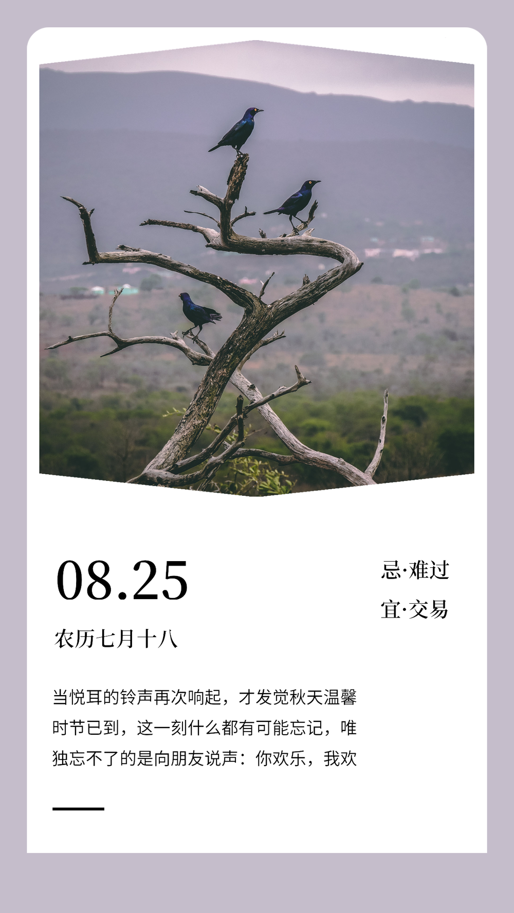 日签