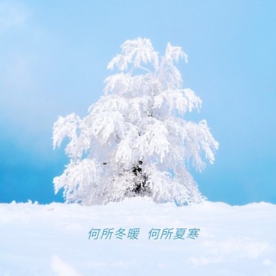 树，雪景，浪漫