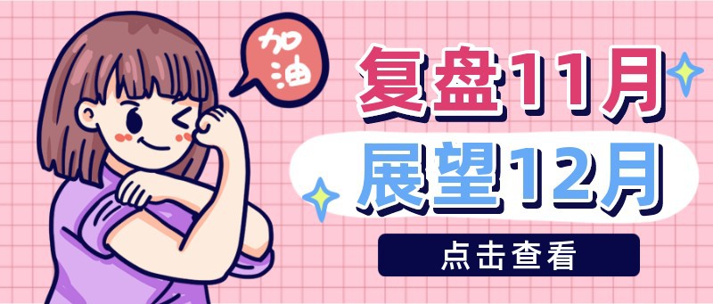 /static/assets/images/default-pic.png 复盘11月,展望12月,总结,公众号
