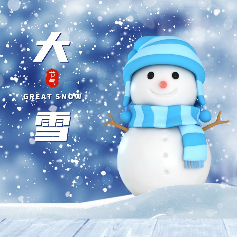 二十四节气大雪，实物，雪人