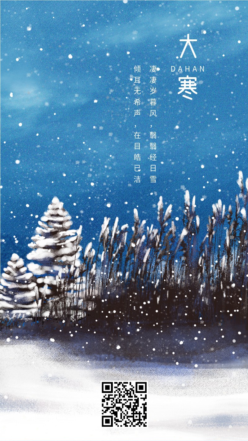 二十四节气，大寒，冬天，雪，手机海报